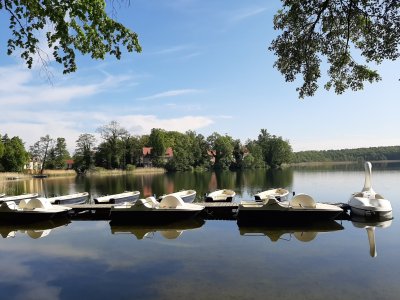 20190517_090511