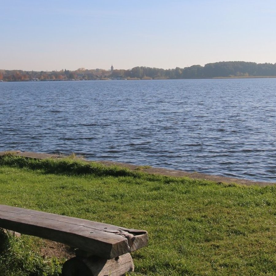 IMG_6650 IMG_6650